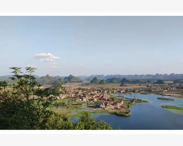 痰湿体质与胃疼