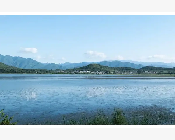 脾胃湿寒，拔罐拔腹部的好处与注意事项