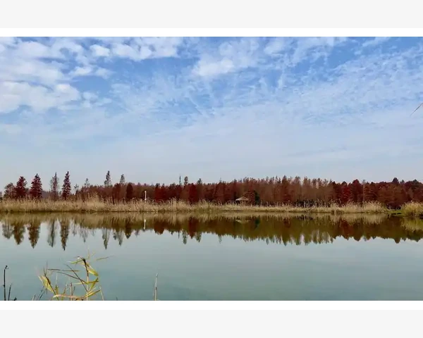 管理会计师资格认证的进阶之路
