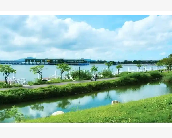 中医秘方揭秘：缓解少女姨妈痛的中药调理方法